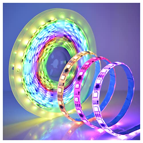 Image of 12V 2811 Pixel Programmable LED Strip Light, Fancy Dream Color, 5M /16Feet 300LED, Without Power Supply (IP65 Silicone Cover)