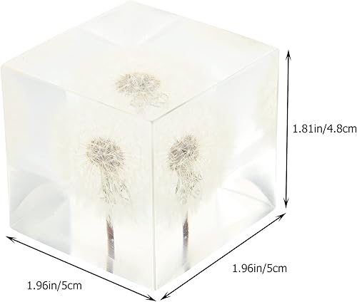 Miniatura 2 de ARTIBETTER Estatua de espécimen de hojaldre real de diente de león 3D en cubo de cristal de cristal, adorno de escritorio, decoración Fengshui para