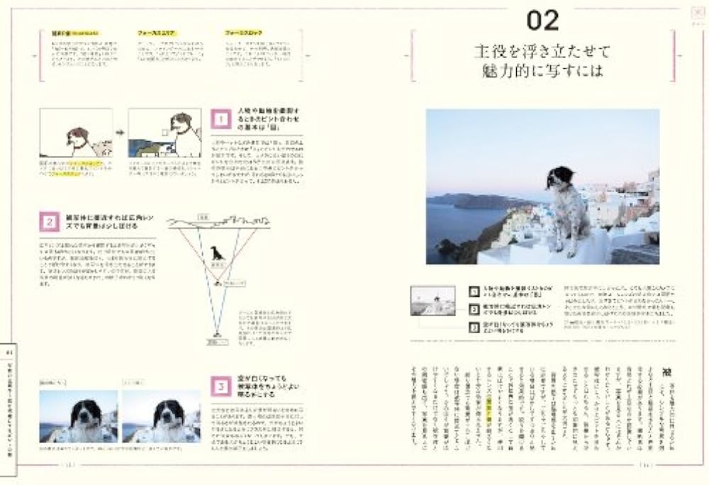 写真撮影の教科書 思いどおりに撮るための写真の手引き | 岡嶋和幸 |本