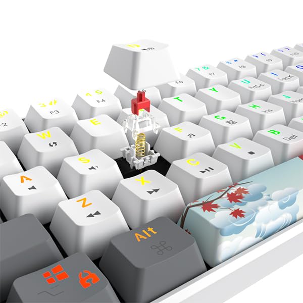 Image of 60% Mechanical Keyboard 61-Key Wired Gaming Keyboard with Red Switch RGB Lighting Effect PBT Keycaps Ultra-Compact Mini Keyboard Suitable for Win /Mac(61 White)