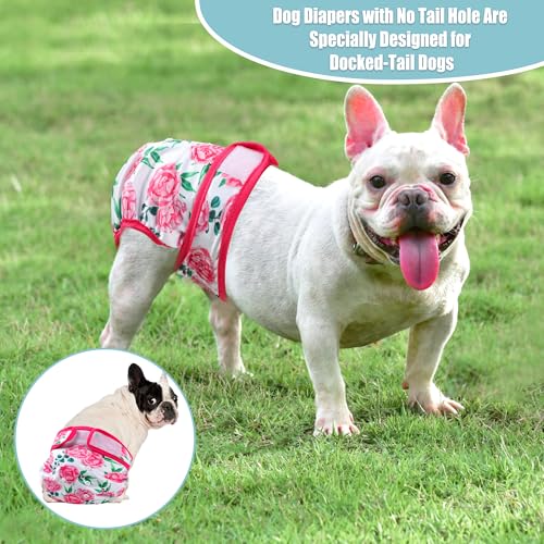 Image of wegreeco XX-Large Dog Diapers Female No Tail Hole, Reusable French Bulldog Diapers Female (Ocean of Flowers XX-Large)