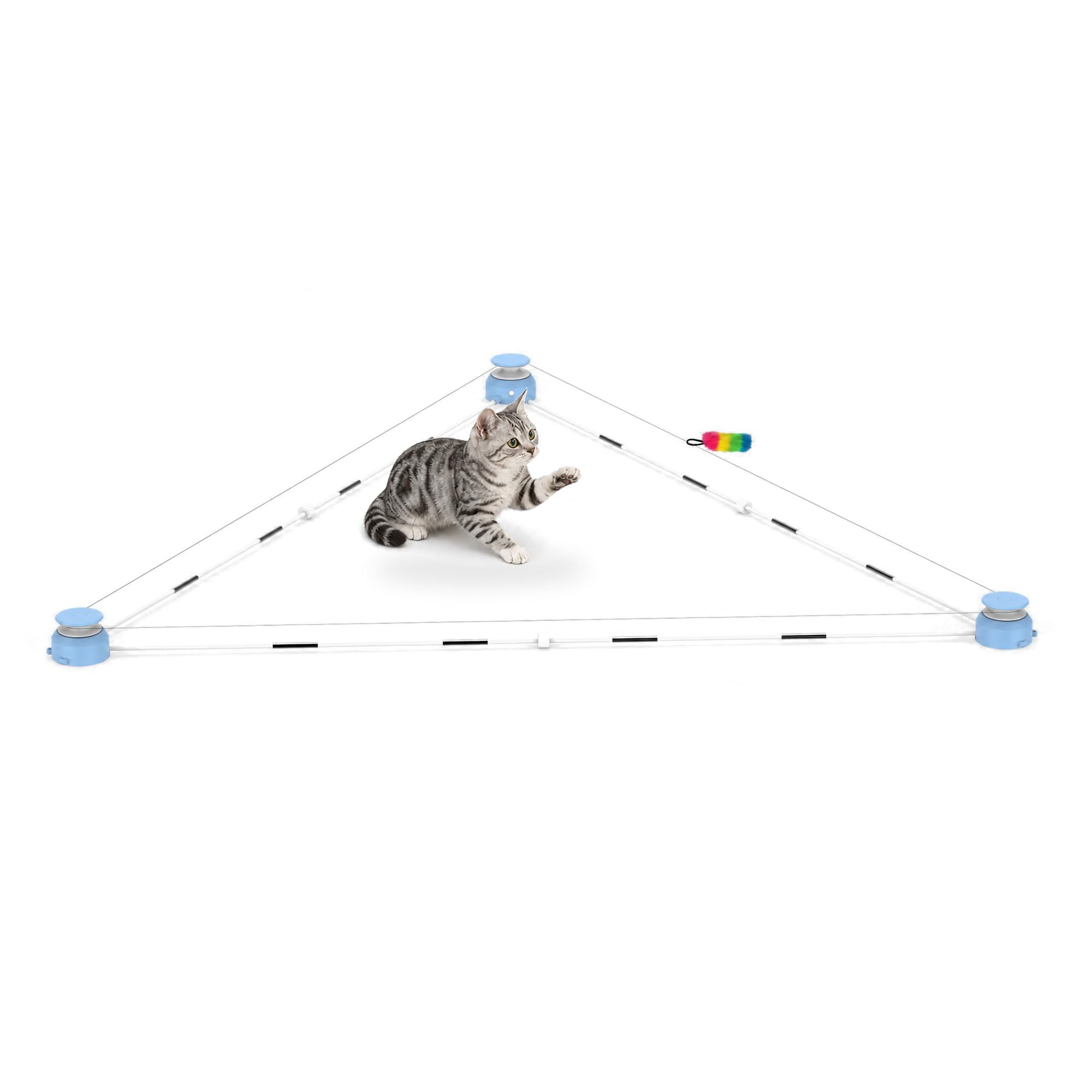 Amazon.co.jp: Carsien にゃんこダッシュ 猫 おもちゃ 自動 電動