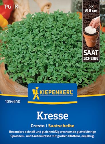 Kiepenkerl Kressesamen Cresto 1054640 - Die perfekte Saatscheibe für schnell und gleichmäßig wachsende Sprossen. Glattblättrige Kresse die sich perfekt für den Garten eignet.