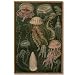 Framed Vintage Jellyfish Wall Art Marine Life Poster with Wood Frame Scientific Ocean Prints for Bathroom Nautical Sea Life Picture Painting Living Room Office Coastal Home Decor12x16 Inch