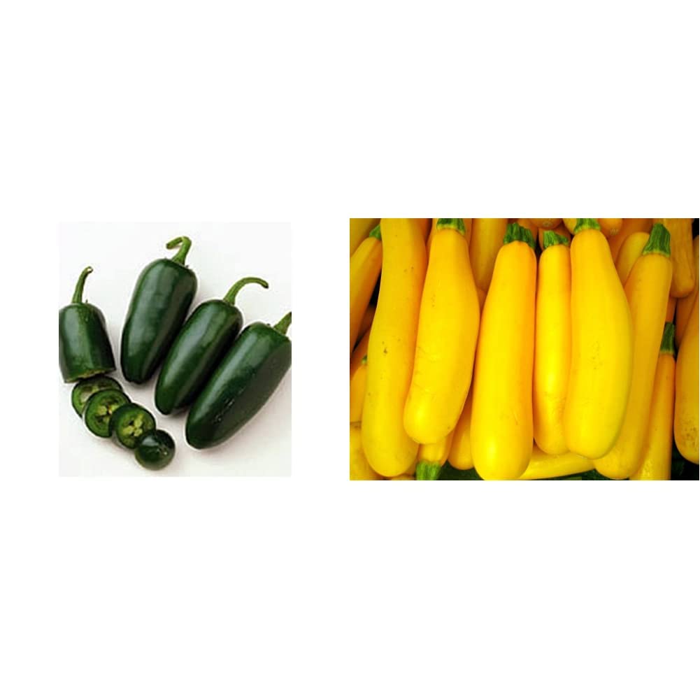 Go Green Pepper, Chilli Jalapeno Pickled Chilli Seeds (Pack of 30 Seeds) & Squash, Zucchini Yellow Long Seeds (Pack of 30 seeds) Combo (B087D5PRS4) Amazon Price History, Amazon Price Tracker
