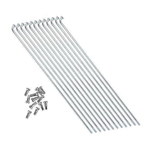ZYAMY 12 Stück 290 mm/11,4 Zoll 14G J Bend Fahrrad 304 Edelstahl Speichen mit 12 mm Nippel Zyklus Speichen, Silber
