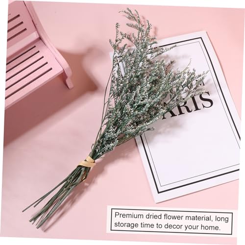 Ramo de flores secas Gypsophila para decoración miniatura 4
