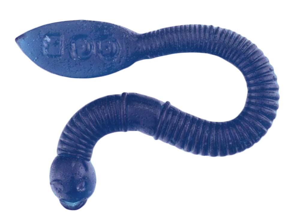 Gummy Fishing Worms - Reel-In Flavorful Fun with GGB Candies! You'll Fall for this Candy Experience, Hook, Line, and Sinker! (Blue Raspberry)