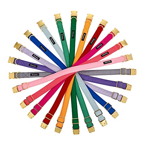 Collier pour chien 12 couleurs et laisse assortie pour chat - 8