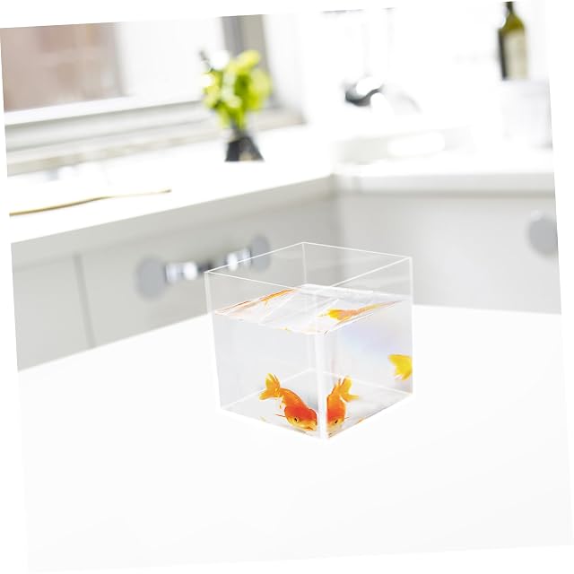 Foto 6 de 8 de Acuario de mesa pequeño, pecera cuadrada de acrílico, acuario de mesa, pecera pequeña betta, para oficina