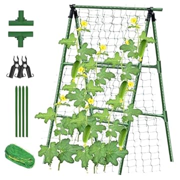 Trellis for Zucchini Plant - Which One Will Transform Your Garden? 3 trellis for zucchini plant