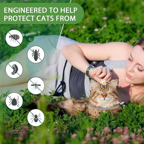 LAXISCREED Katzenhalsband 2er Pack mit natürlichen Ölen, Langzeitschutz (16 Monate) & Wohlbefinden, verstellbar, wasserfest, für Katzen ab 7 Wo