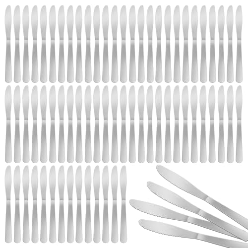 Ayearparty 150 Pcs 8.3 Inches Stainless Steel Dinner Knives Spreader