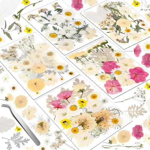 Pressed Flowers for Resin Art and Crafts