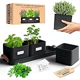 Green Thumbz Vasi per Piante da Interno - Set Sottovaso e 3 Vasi Nero (10,5 x 10,5cm) - Pratico ed Elegante Kit Erbe Aromatiche da Interno per Piantine Decorative per Casa o Ufficio