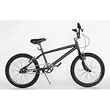 BMX モアノ(moineau) 20インチ 自転車 マット ブラック REI ストリート トリック 【限定生産】