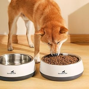 Dog Bowl for Food and Water, 67Oz Stainless Steel No-Skid & Non-Tip Dog Bowl for Food or Water, White Dog Bowl for Food and Water, 67Oz Stainless Steel No-Skid & Non-Tip Dog Bowl for Food or Water, White