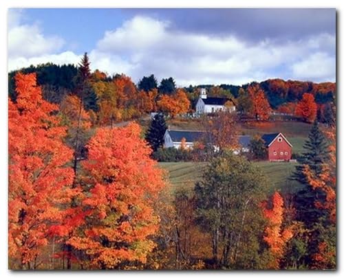 Impact Posters Gallery Nature Scenery Autumn Red Landscape Forest Scenic Trees Wall Art Print Poster for Home (16x20)