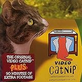 Video Catnip