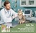 Cat Deterrent Spray 2 Pack- Natural Cat Spray Deterrent for Urine Marking & Scratching - Eco Friendly, Safe to Use Around Children, Pets, Furniture and Fabric, Works Indoor & Outdoor（2X100ml)2