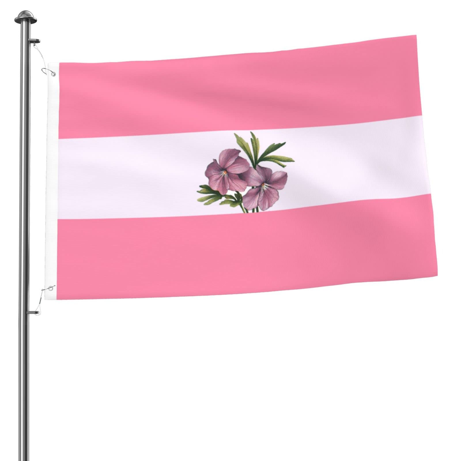 Bandera Arcoíris Doble Cara 18x12.5 Pulgadas Banderas Del Orgullo LGBT - Arcoíris, Doble Cara, Tamaño 18 X 12,5 Pulgadas, De Poliéster, Marca Anley Bandera Arcoíris Orgullo LGBT