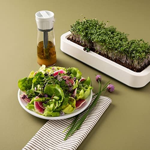 Chef'n Salad Dressing Mixer