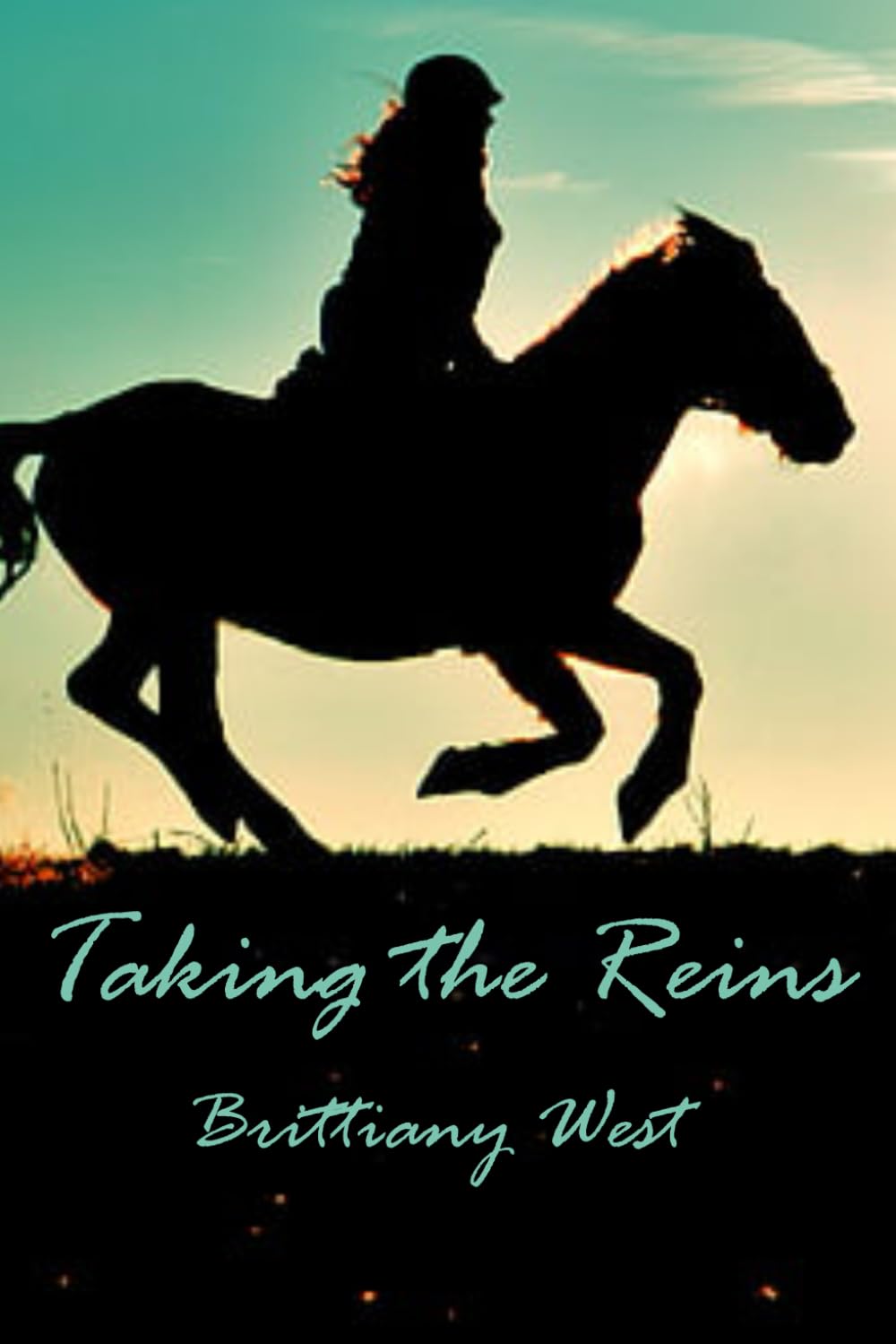 Taking the Reins