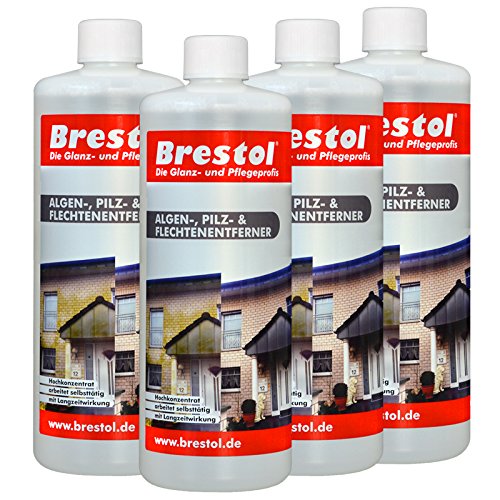 Green Algae, Lichen and Algae Remover Pilzentferner Flechtenent 4x Remover 1000 ml Concentrate (7268) – Lichen Remover Green Belagsent Remover Gravestones Moss Remover Algaecide for Algicid Elgenex Algae Killer Algae Killer – Original Brestol