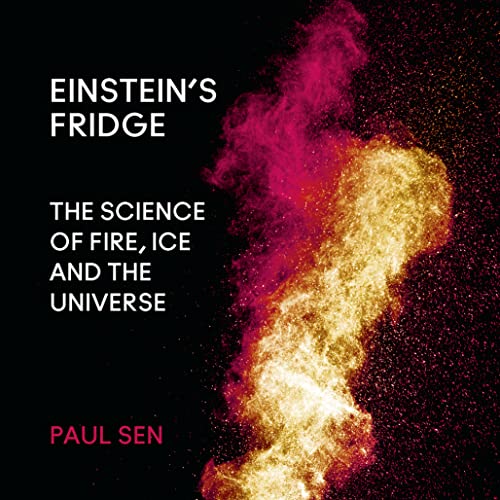 Einstein&amp;rsquo;s Fridge by Paul Sen episode artwork