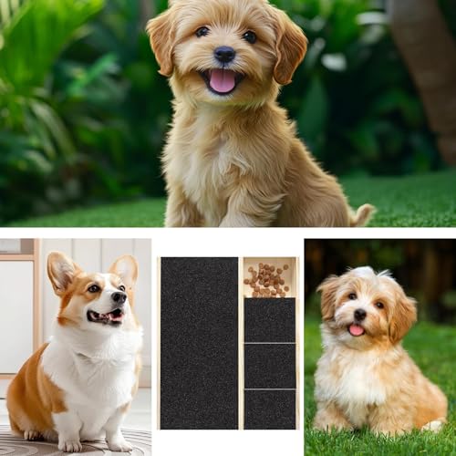 Planche à gratter pour les griffes du chien avec tapis interactif