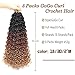8 Packs 18 inch GoGo Curl Crochet Hair for Black Women Water Wave Curly Crochet Ombre Braiding Hair Ocean Wave Beach Curl Wavy Crochet Hair Extensions (Pack of 8, 1B/30/27#)