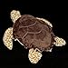 Hawksbill Turtle Plush Toy - Simulation 11.5inch Lifelike Stuffed Animals, Sea Creeping Tortoise Plushie Toys , Super Soft Plush Dolls for Kids Stuffed Model Toys, Gifts for Kids