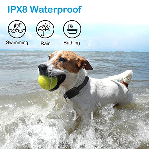 Dr.trainer No Shock Dog Bark Collar With App Setting, Rechargeable Barking Collar With Custom Sound & Vibration & Bark History, Waterproof Bark Collar For Small/Medium/Large Dogs (B1Pro) #TOP6