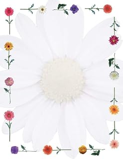 Great Papers! Daisies Letterhead, 80 Count, 8.5"x11" (2013178)