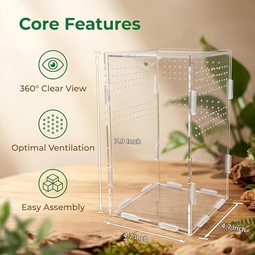 Image of Portable Travel Jumping Spider Enclosure, Acrylic Terrarium for Spider, Magnetic Lock Spider Habitat & Small Terrarium Ventilated for Tarantula,Mantis,Frog,Insect Enclosure cage (4.7x4.7x7.9 Inch)