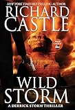 Wild Storm: A Derrick Storm Thriller