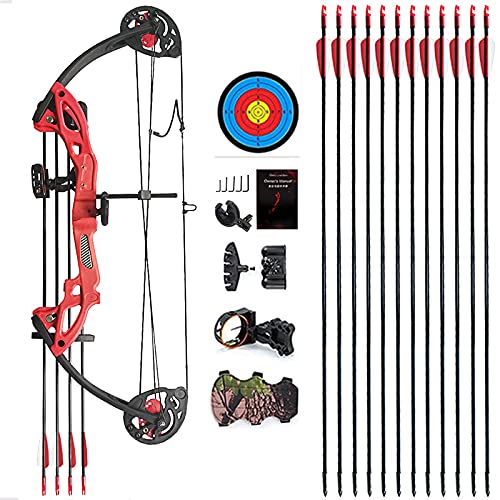 Compound Bow Archery for Youth and Beginner, Right Handed,19”-28” Draw Length,15-29 Lbs Draw Weight, 260 fps