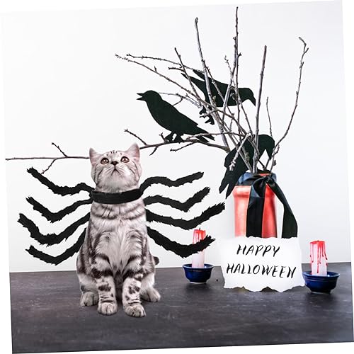 Disfraz de Araña para Perros Toddmomy Halloween miniatura 6