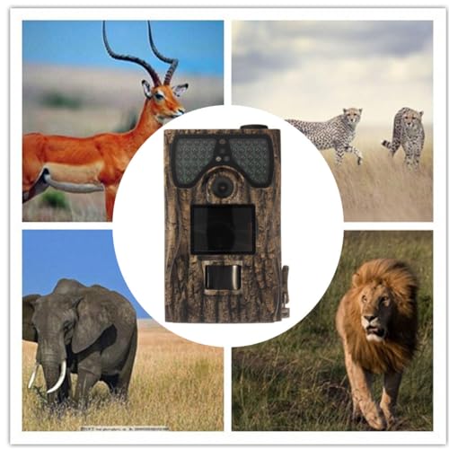 WnewTools Câmera de caça PR-300 HD 12MP Digital 48 LEDs IR Infravermelho Visão Noturna Animal Trail