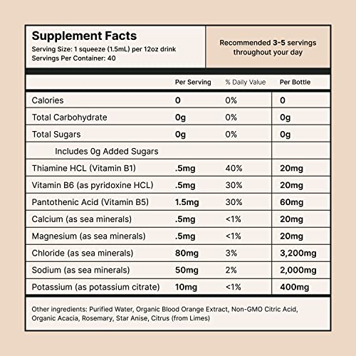 Buoy Electrolyte Drops | 120 Servings | No Sugar, No Sweeteners | Trace Minerals, Vitamins & Antioxidants | Purposefully Unflavored | Perfect For Coffee, Water, Beer, Tea | Daily Hydration Supplement #TOP5