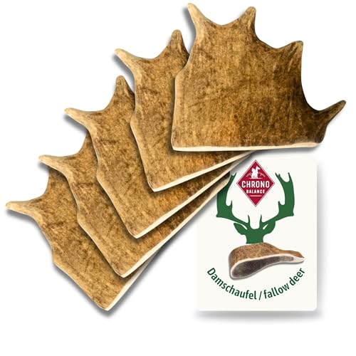 ChronoBalance® XL Damwild Hirschgeweih für Hunde Kauspielzeug: 100% Hirschgeweih echt Hundespielzeug zur Zahnpflege, Hunde Kauartikel, Kausnack Hund mit Mineralstoffen & Nährstoffen, XL (5er Set)