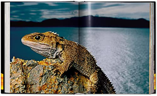 Amazon.co.jp: フランス・ランティング: 本、バイオグラフィー