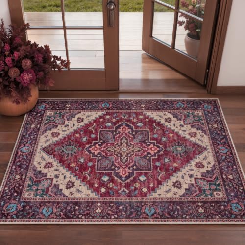 Image of Tangsoo Oriental Small Area Rugs for Entryway, Non Slip 2x3 Washable Rug