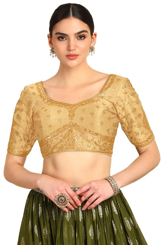 Womens Silk Blend Half Sleeve Zari Embroidered Padded Blouse with Sequins-image-11