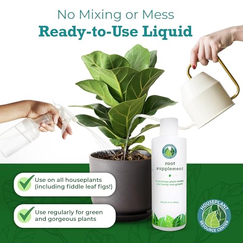 Fiddle Leaf Fig Essentials Bundle miniatura 6