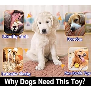 Dog Rope Toys for Large and Medium Aggressive Chewers 9 Pack Indestructible Dog Rope Toys Puppy Teeth Cleaning Toys Tug of War Dog Toy Heavy Duty Dental Cotton Rope Dog Toys Cucciolini Doodles Dog rope toys for large and medium aggressive chewers 9 pack indestructible dog rope toys puppy teeth cleaning toys tug of war dog toy heavy duty dental cotton rope dog toys cucciolini doodles