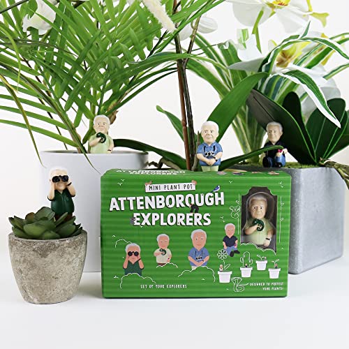 Gift Republic - Attenborough Explorers Plant Markers - These Attenborough Explorers Will Look After Your Plants, 9.5x14.5x3.5 cm, Green - Image 3