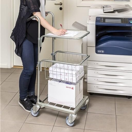 Mini-Transportwagen Boden u. Korb 660 x 385 x 1.090 mm, Traglast: 35 kg, verzinkt