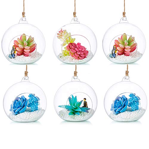 Terrarium en Verre Suspendu 6 Pièces Grande Ouverture Vase Plante Boules 12cm Fleur Vase Pot Boules De Verre Creativesverre la Conception de Bricolage de...