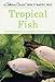 Tropical Fish